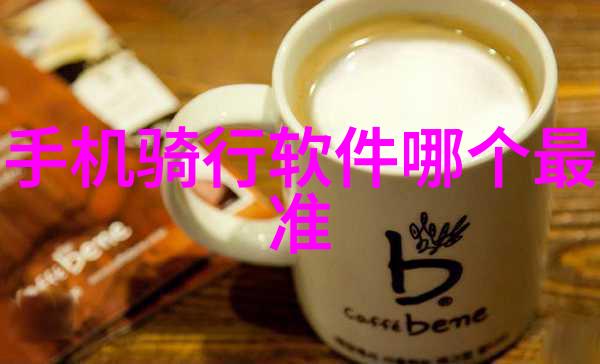 老年骑游队今日启程踏上法国之旅骑行减肥效果如何