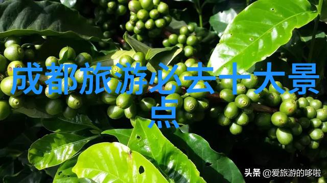 最值得旅游的城市我眼中的旅行宝藏那些不可错过的都市奇迹