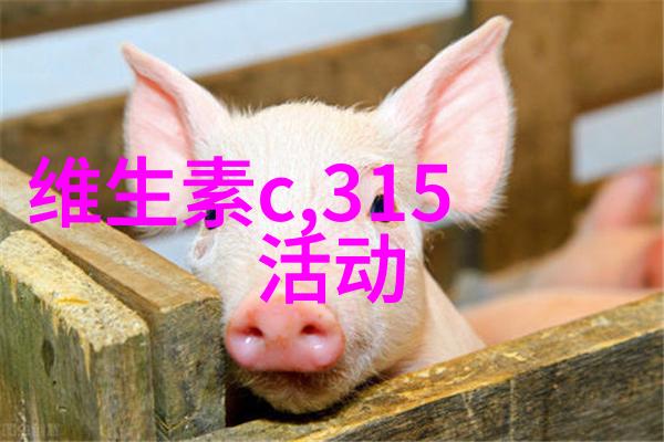熊猫时空馆在成都九寨沟旅游攻略中寻找自由行的社会场景