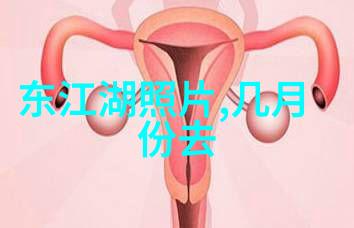 春日游探索周边自然美景的自驾之旅