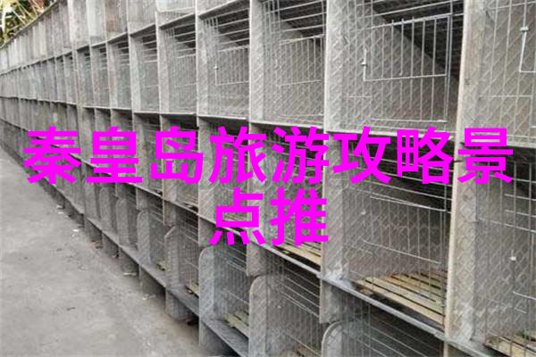 深圳周边自驾游探索美丽的角落体验纯粹的旅行乐趣