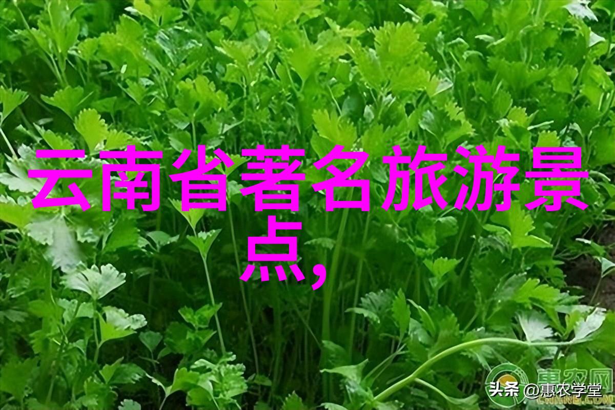 3月美景春暖花开的最佳观光胜地