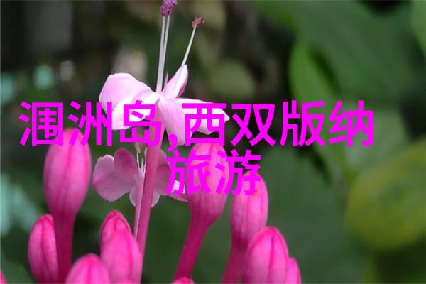 了解一下2023年中国文化体验排名靠前的城市是哪些