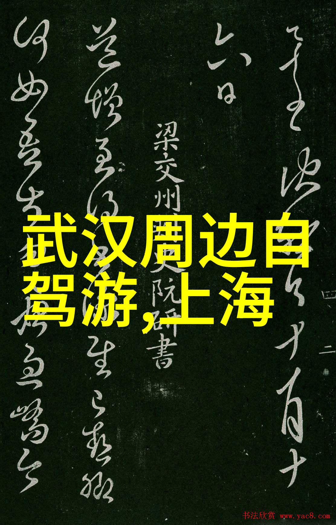 骑行生活风驰电动的都市探险