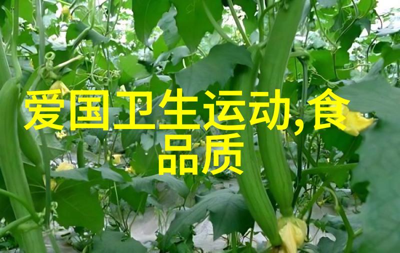 拜登公寓泰安优质项目开业盛大全国甲级旅游民宿名单引社会关注折扣不停更新