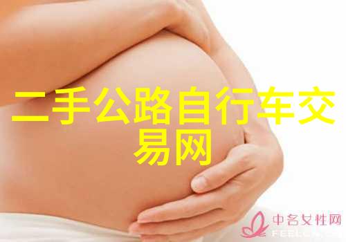 时间机器穿越历史的步伐与感悟