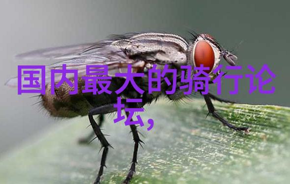 7. 拥有一辆自行车探索唐山市郊风光是一种什么样的体验呢