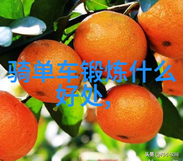 张家界旅游攻略自由行策略与景点选择研究