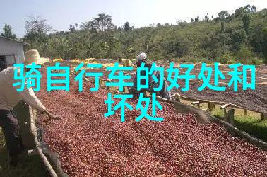 济南南部山区住宿攻略探索山区秘境体验自然之美