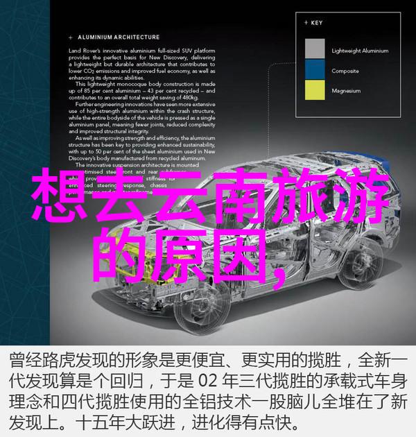 户外探索大冒险幼儿园大班的绿色课堂