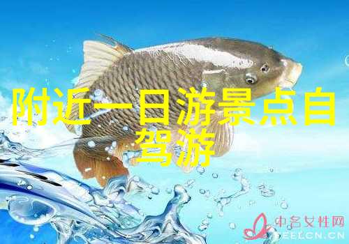 峨眉山旅游攻略-探索四川美景峰回路转的奇迹之旅
