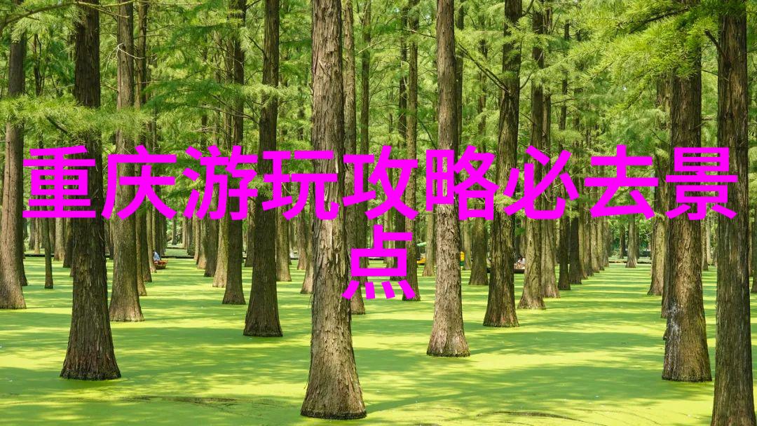 东北夏季旅游攻略探索东北的夏日美景