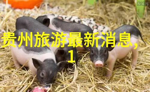 莫斯卡村游记探索物品之美的乡土故事