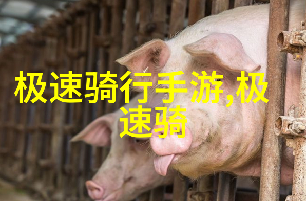 江南水乡奇遇无锡游记