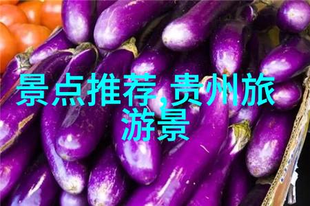 户外探险自然之旅的奇妙征程