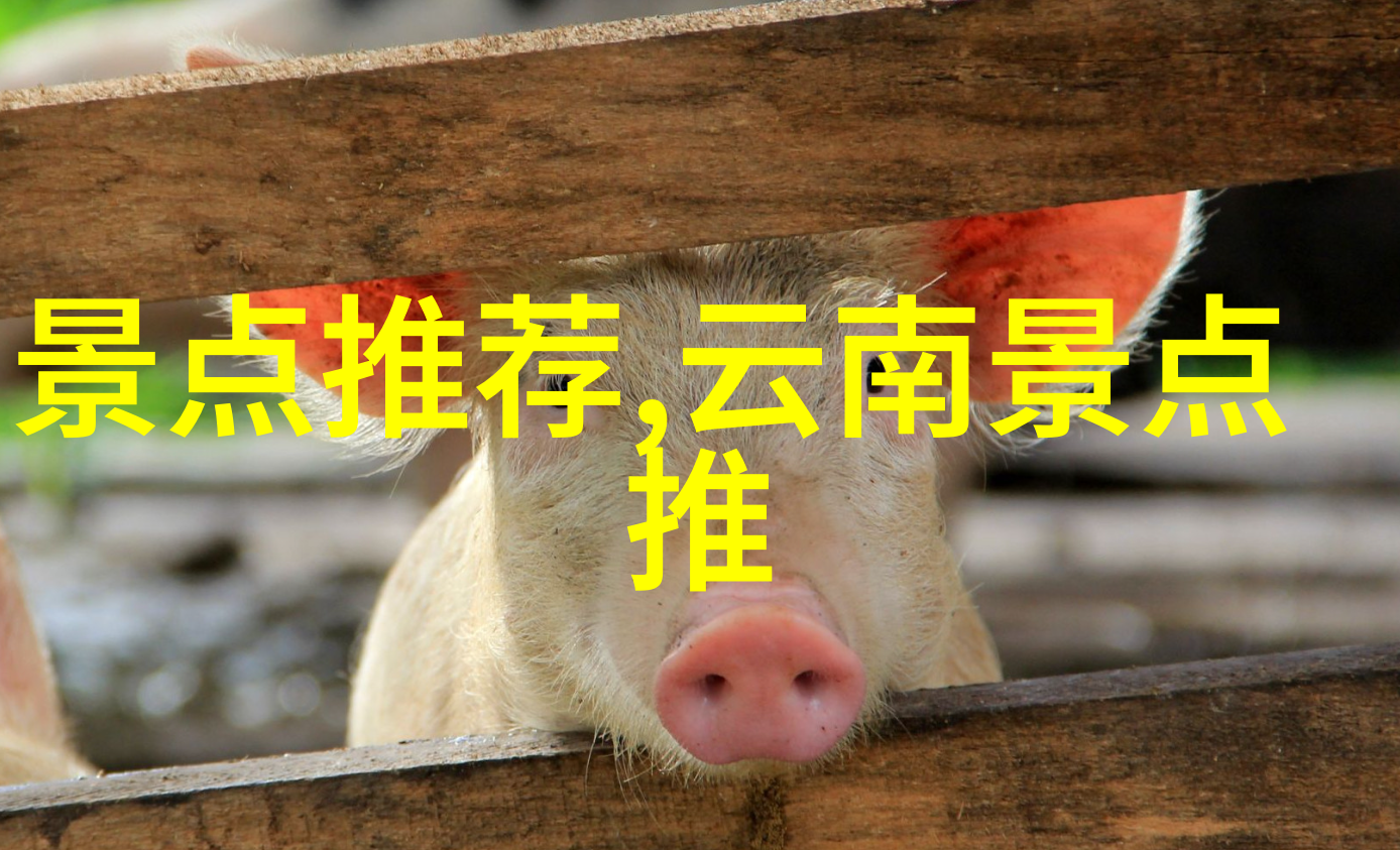 大理游记-探索大理美景从古镇到风景区的完美旅行指南