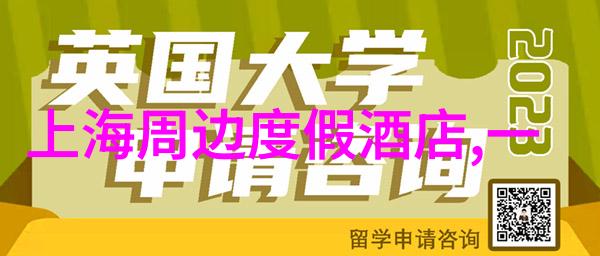危险游戏揭秘高风险交易背后的诱惑与阴谋