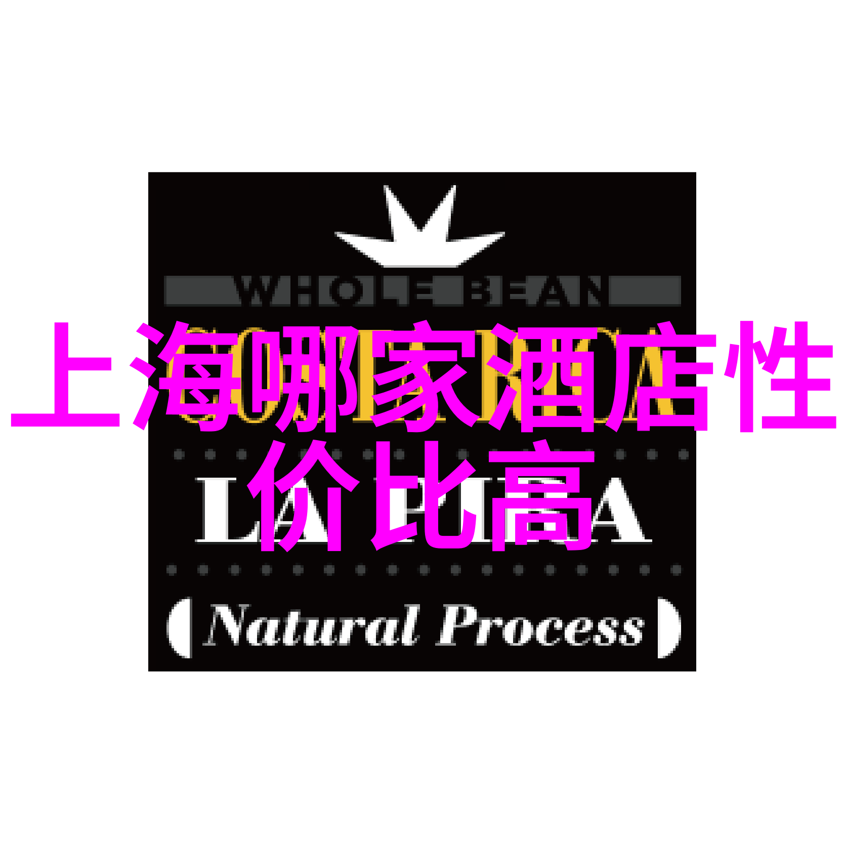 团体性趣味活动共鸣的音符与翱翔的梦想