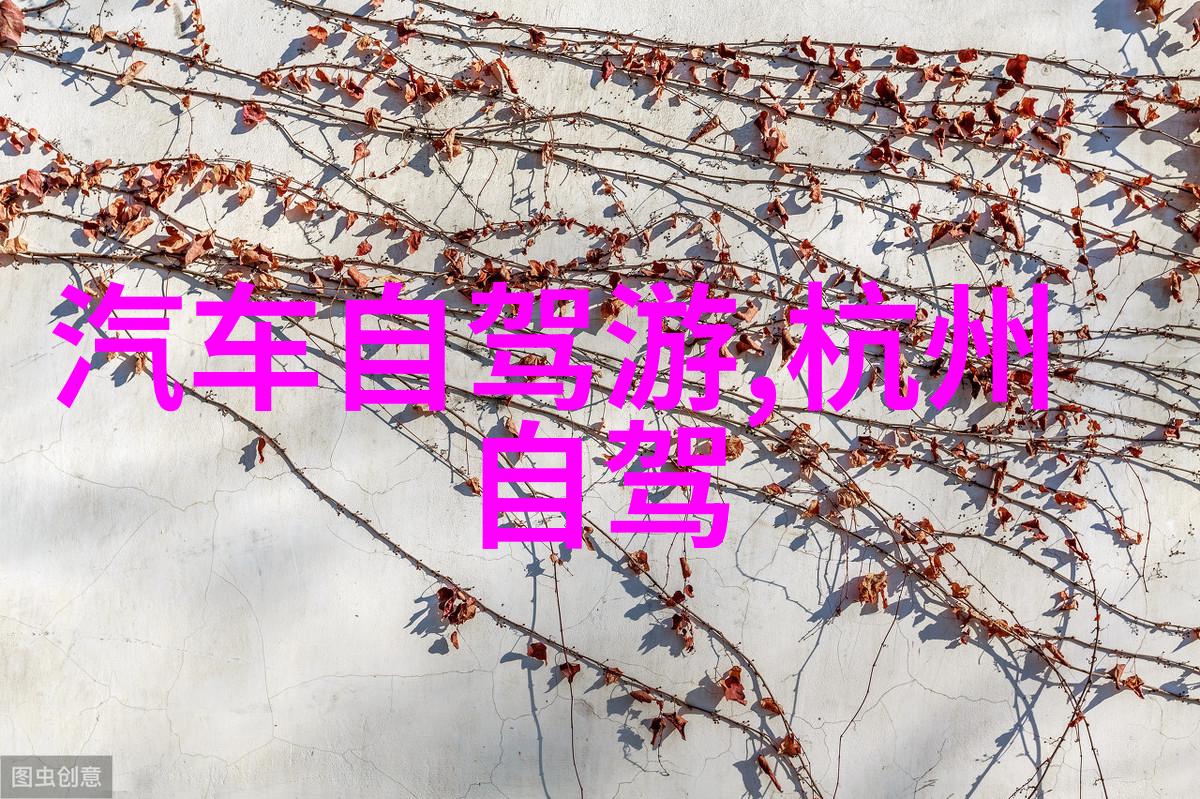 四川旅游新闻网探秘四川最美村庄我如何在天府之国发现隐藏的乡愁