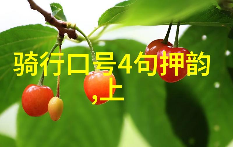 穿越西部的奇迹探索未知的道路与心灵深处