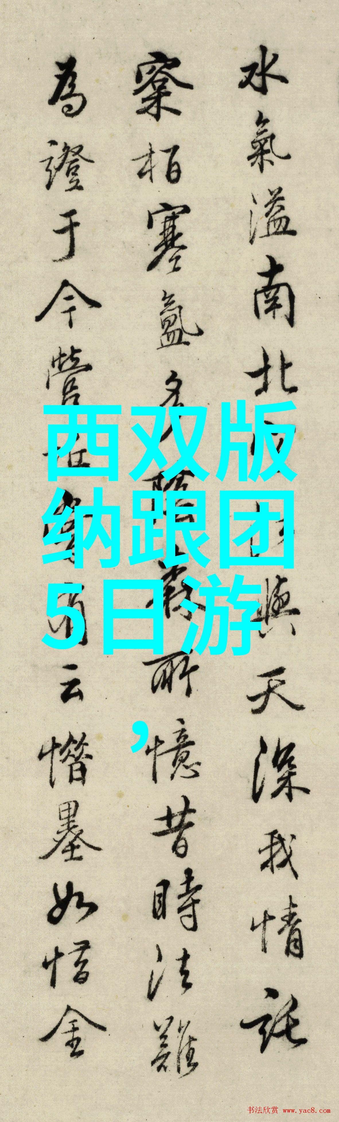 职场骑行之谜山地车VS公路车谁能让你上班路更有趣