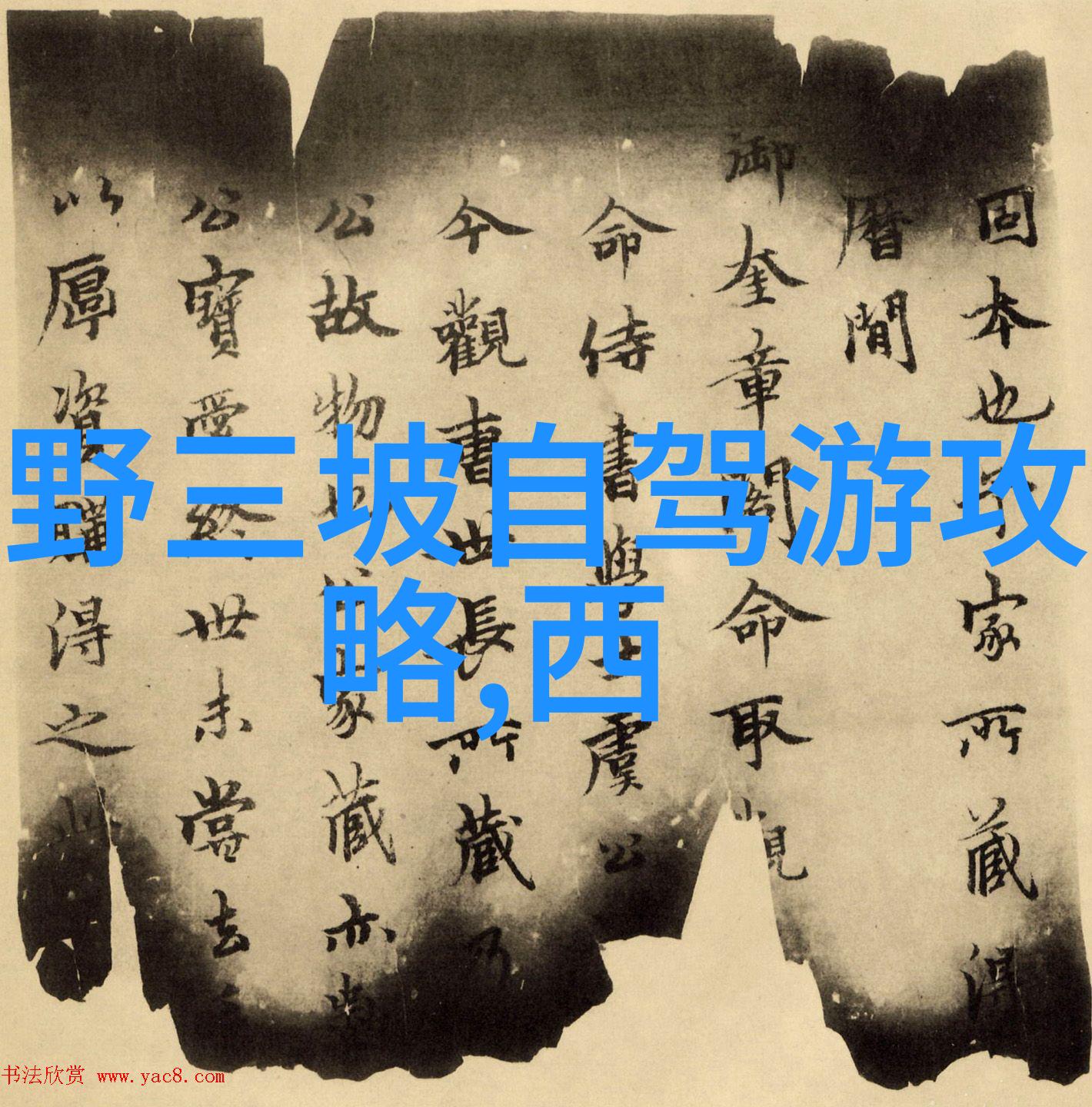 骑自行车有哪些好处-骑行健身揭秘自行车运动的多重益处