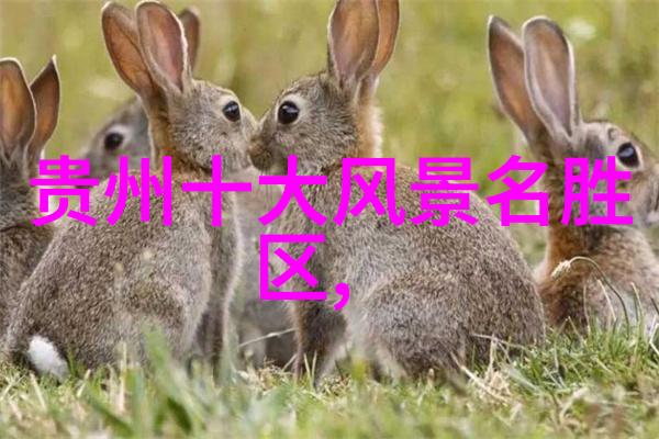 旅行计划制定一个人的一周英国之旅需要准备多大的经济预算