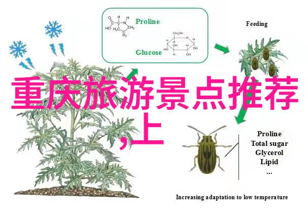西藏自驾游探索马岭河大桥的壮丽之旅