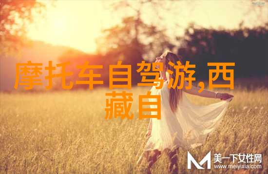 世界最美丽的岛屿之旅探索地球上最迷人的海滩天堂