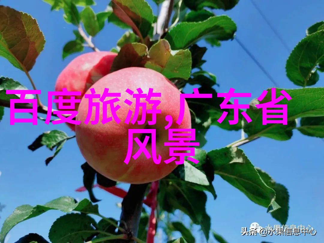 海岛天堂广西南宁到环球度假村的一天