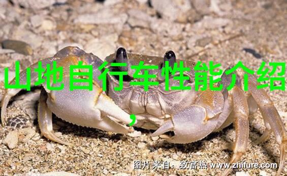 在武汉可以体验什么样的户外活动呢