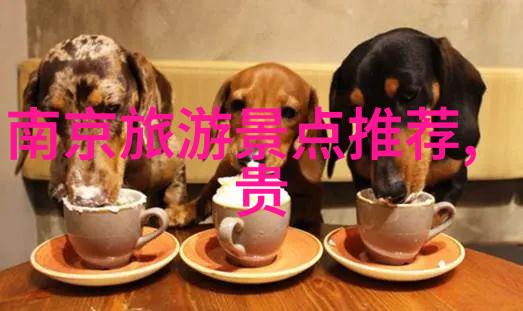 珠海之星万达智慧酒店与华为鸿蒙携手共绘梦幻住宿篇章