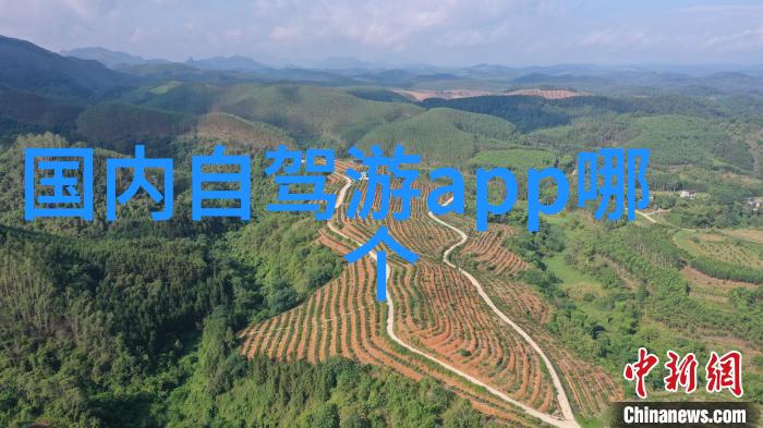 夏日东北行畅游森林湖泊与热气球的奇遇