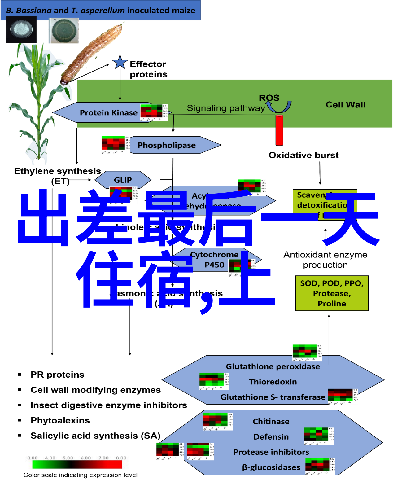 您是否看過濟寧這樣一個神奇的地方