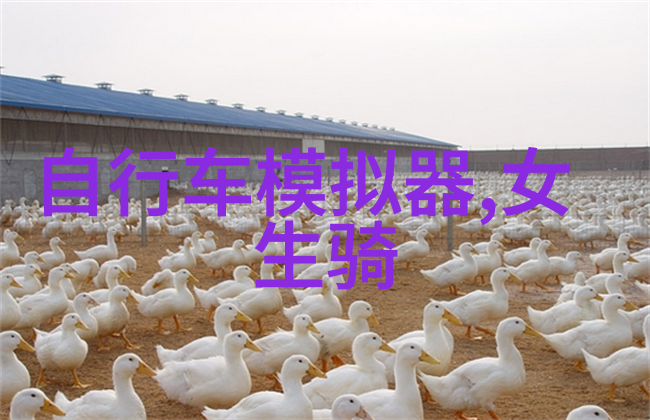 云南旅游最佳时期是什么时候