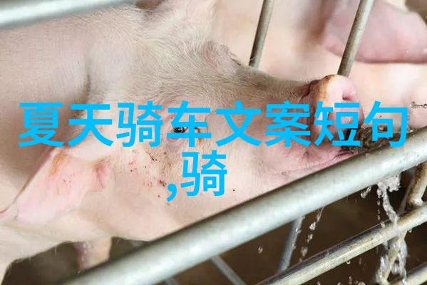 川藏骑行悲剧追忆318路上的狼群与消失的人影