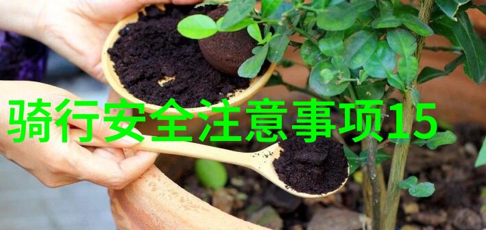 武汉美食攻略-品味长江流域武汉美食必尝指南