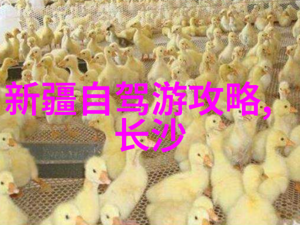 苏州园林门票-春晓中的园林秘密解锁苏州园林门票背后的故事