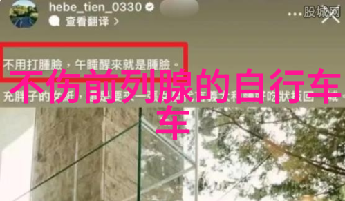 在绿色角落找到宁静上海各大植物园一日游指南