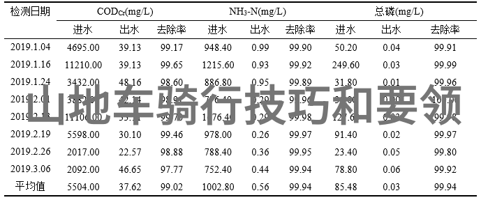 探索未知异域风情下的旅途指南