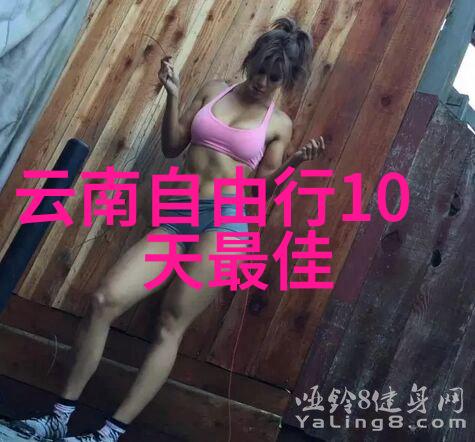 暗影操控者揭秘制造谋杀者的阴影世界