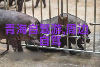 深入了解达尔罕茂明安联合旗那里有哪些隐藏景点呢