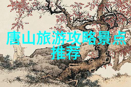 77bike折叠车之家App您的智能骑行伴侣