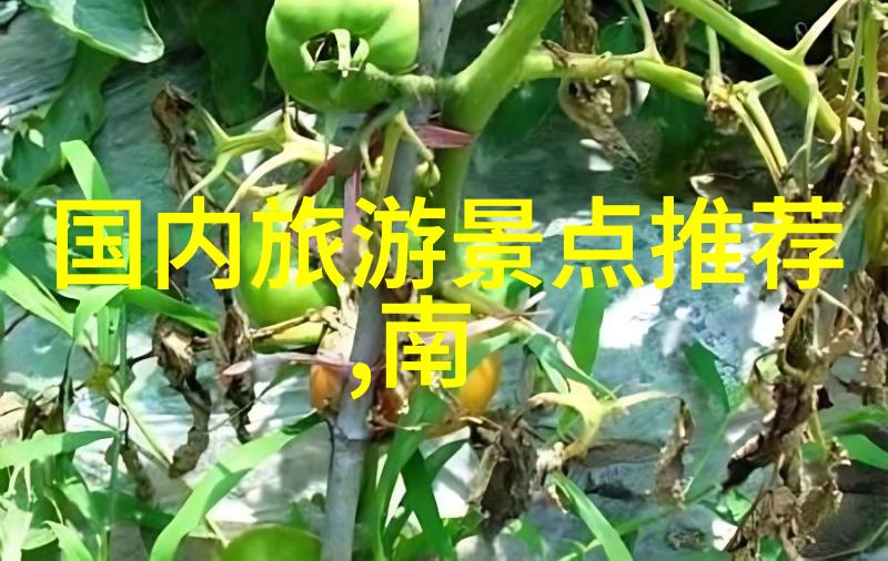 三亚自驾游从北方的寒冷到南海的热情