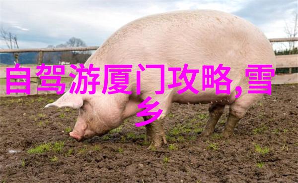历史遗迹的足迹体验古城一日两夜