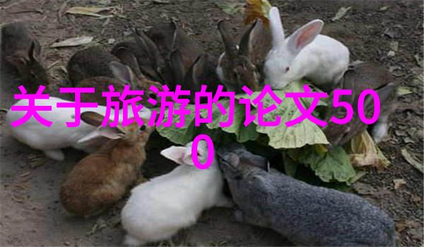 自驾游路线推荐-探索中国美景从北京到拉萨的神秘之旅