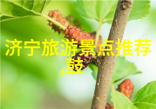 贵州探秘云山霁月下的古老风情与现代魅力