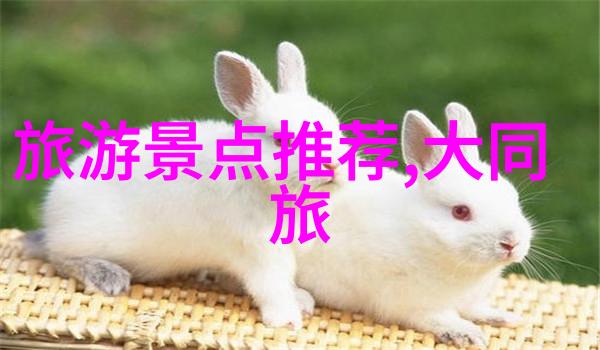 数字化重生通过VR体验走进金字塔