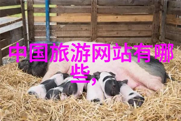 旅程者的心跳与自然和谐特别推荐的春季目的地