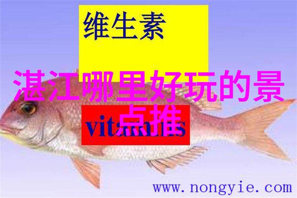 出行小贴士如何快速找到最佳旅行伴侣
